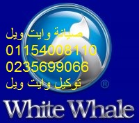 ����� �����  ���� ��� || 01060037840   ������ ���� ���  0235700997 ||  �����  ���� ��� ������  