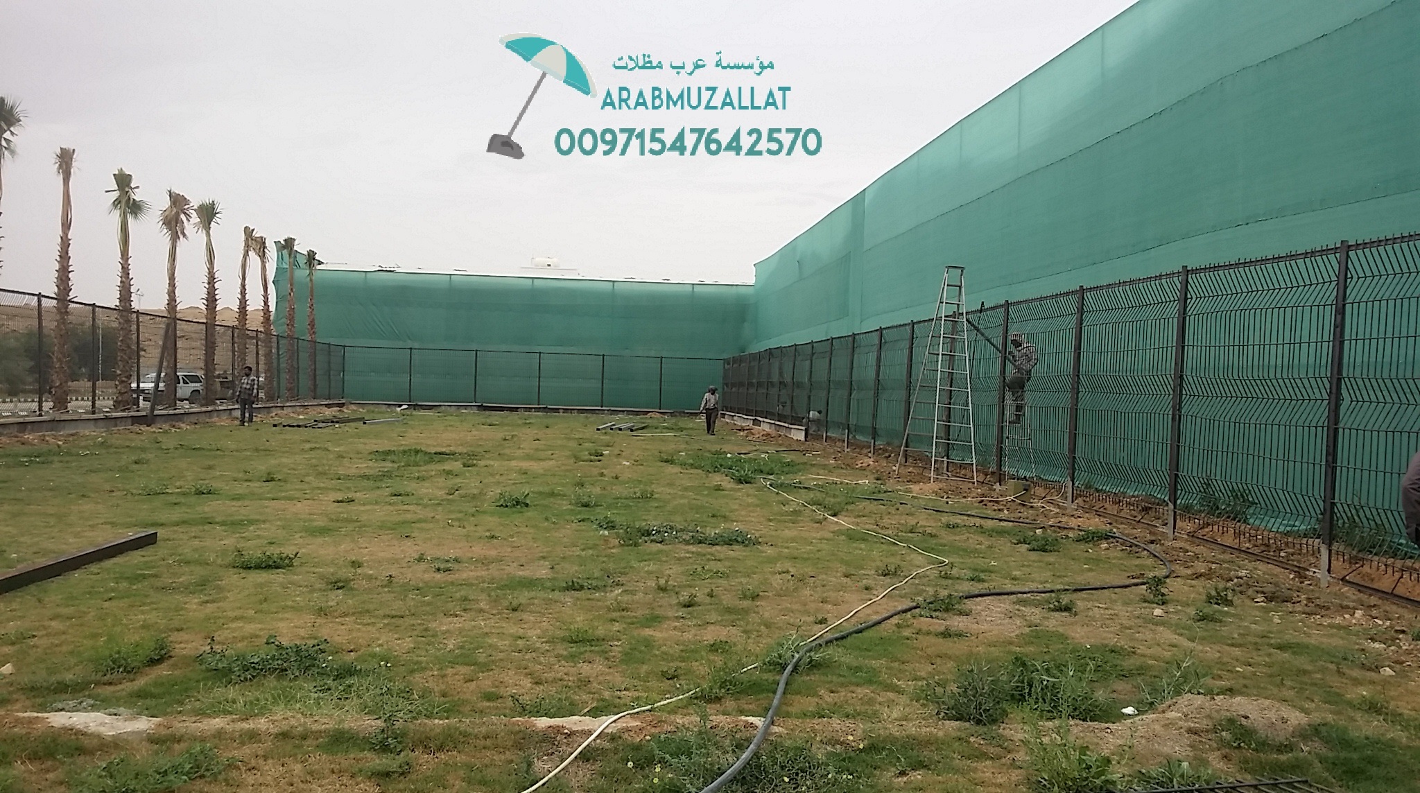  ���� ����� �� ��� ������� � ������� 00971547642570