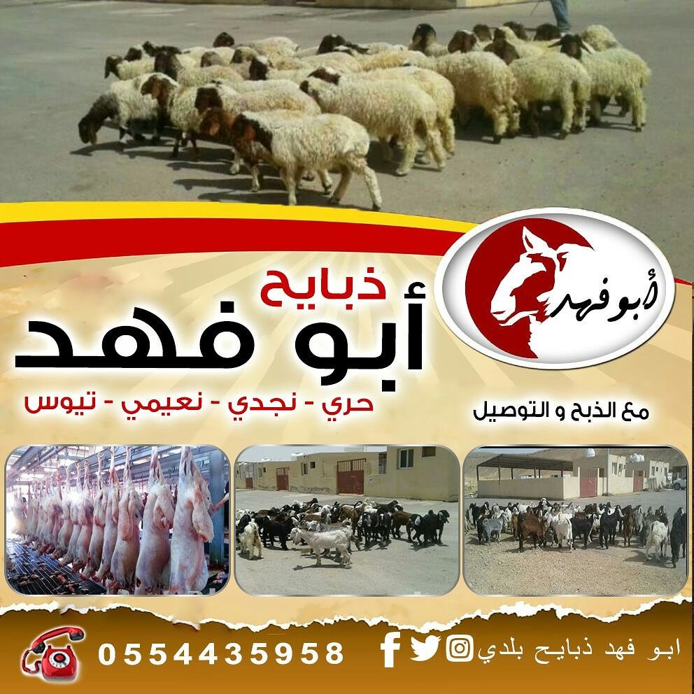 ����� ����� ������� ������� ������� ���������� 0554435958 ����� ��� ����� ������֡����� ���� ������֡����� ���� ����� �������