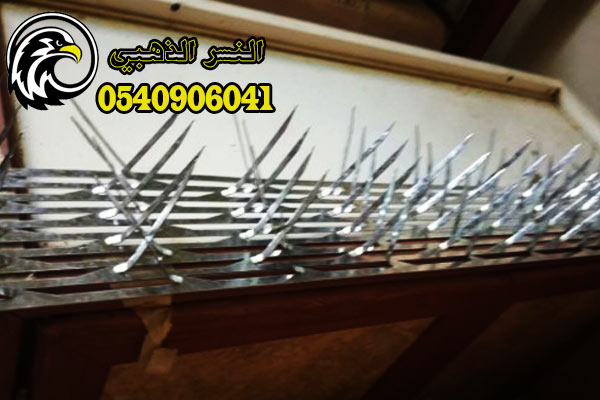 ����� ������ ���� ������ ������ �������� ���25% ����� ������ 0540906041